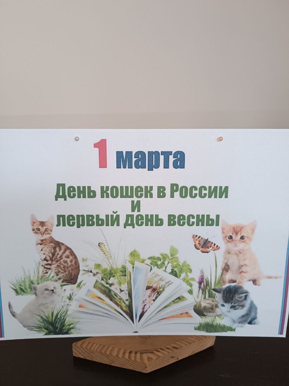 Всемирный день кошек.